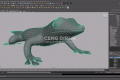 Madagascar Day Gecko - 3D Modeling